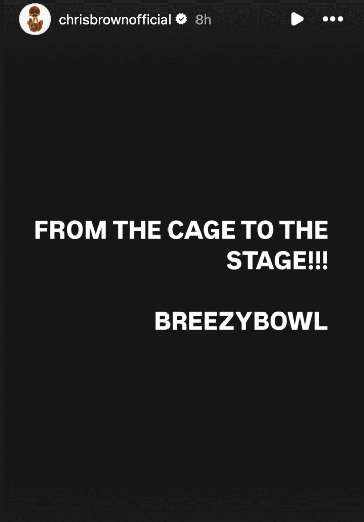 Chris Brown Issues Epic Statement After Securing Freedom In UK