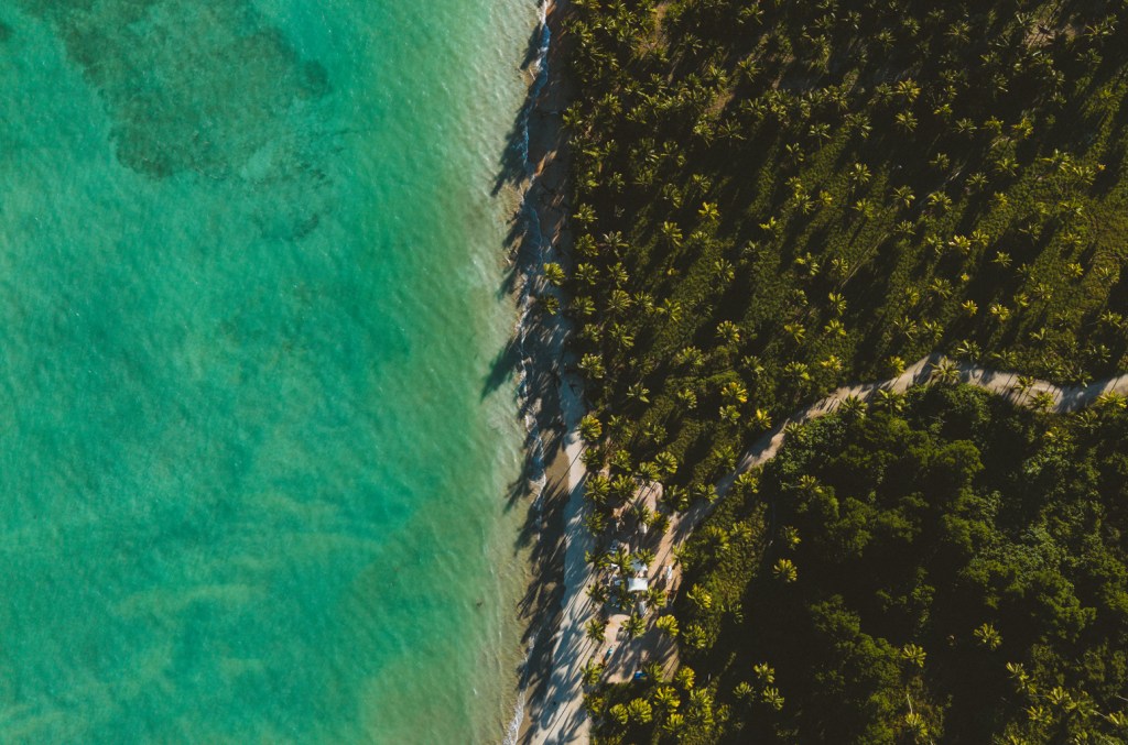 Damian Lazarus’ Day Zero Party to Debut in Brazil Damian Lazarus' Day Zero Party to Debut in Brazil