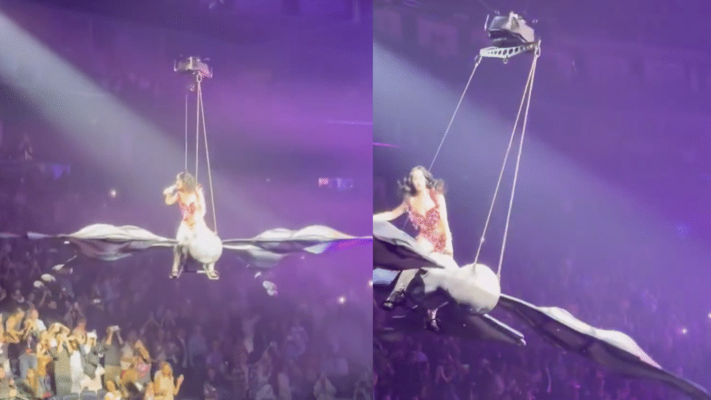 Katy Perry Nearly Falls Off of Butterfly Prop During Conc… KAWS X Clipse LGSEO Tee Box Set 8