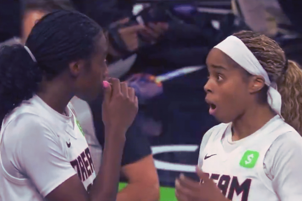 WNBA Game Halted After Dildo Toss Stuns Crowd