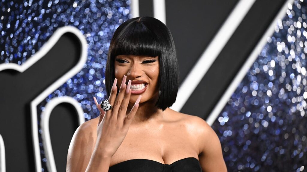 Megan Thee Stallion Wins Against Blogger Over Deleted Texts